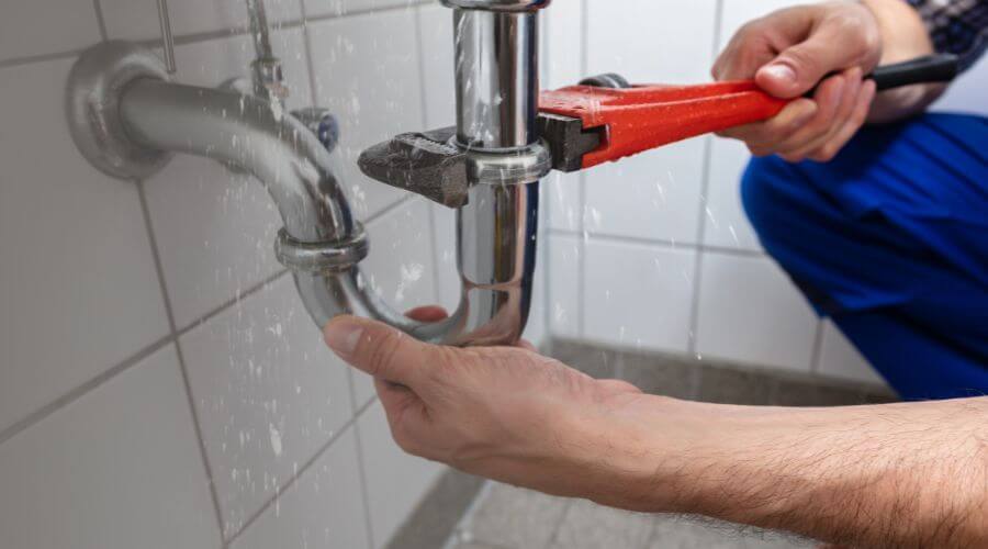 Professional Leak Detection services in Lewisville, MN